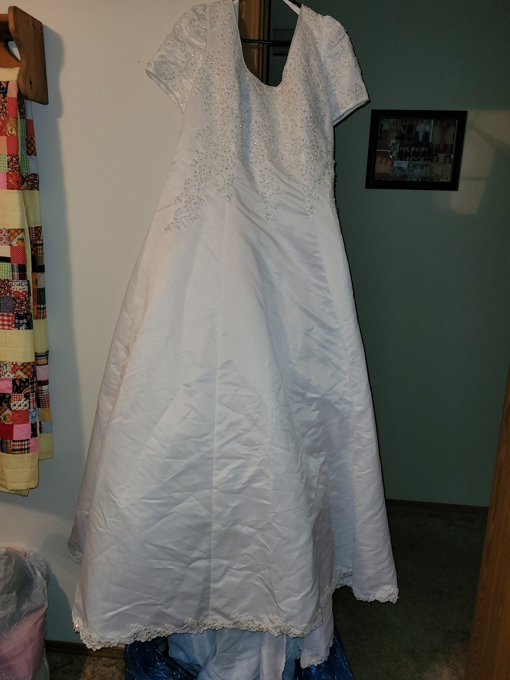 Alfred Angelo White Lace-Embroidered Short Sleeve Ball Gown - Picture 6 of 16